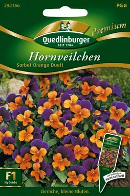 Zdjęcie produktu dla Horned Violet Sorbet Orange Duett F1