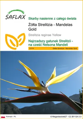 Zdjęcie produktu dla SAFLAX - Żółta Strelitzia - Mandelas Gold - 4 Nasiona - Strelitzia reginae Yellow