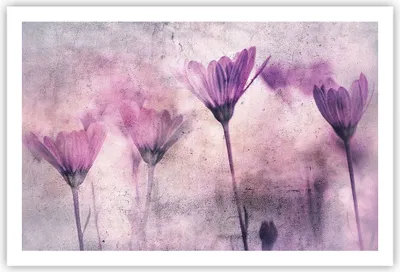 Produktbild von Poster - Poster ohne Rahmen - Blumen Rosa Vintage - 91,5x61 cm - Wand Bild - Wanddeko - Wandbilder - Kunstposter - Wandposter - Bilder - Kunstdruck - Wanddekoration - Wandbild - P2XAA91x61-4432