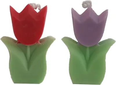 Productafbeelding van 2 stuks tulpenbloemvormige kaarsen, woondecoratie esthetische geurkaarsen
