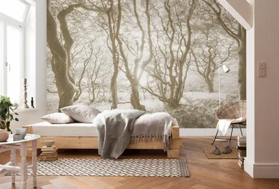 Produktbild von Vlies Fototapete - Bleached Birch - Größe 400 x 250 cm