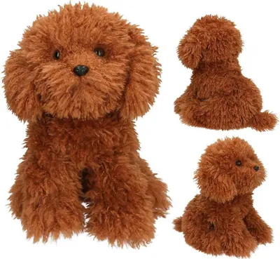 Produktbild von TopModel TOPModel Plüsch Hund Teddy braun 30 cm FUR EVER FRIENDS