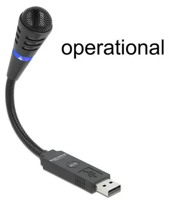 Image de DeLOCK - Mikrofon - USB (66499)