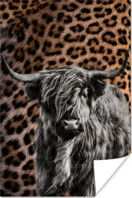 Produktbild von MuchoWow® Poster Schottisches Hochlandrind - Schwarz - Panther 20x30 cm - Papierdruck