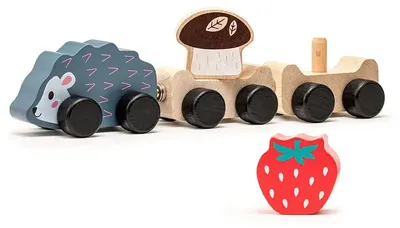 Produktbild von Holzspielzeug Kluger Igel Schiebespielzeug Kinder ab 18 Monaten