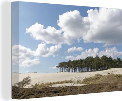 Produktbild von OneMillionCanvasses® - Leinwandbilder - 140x90 cm, Strand bei Schoorl, Wandbilder Kunstdruck Wanddekoration