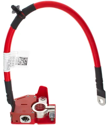 Image de BMW 3 G20 / G21 2018- Pôle positif de la batterie