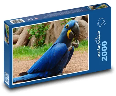 Produktbild von Puzzle 2000 Hyazinthblauer Papagei - martinpuzzle