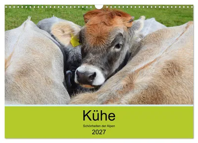 Produktbild von Kühe - Schönheiten der Alpen (Wandkalender 2027 DIN A3 quer), CALVENDO Monatskalender