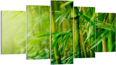 Produktbild von Bild auf Leinwand - Leinwandbild - Bambus Pflanze - 160x85cm - Wand Bild - Wanddeko - Wandbilder - Leinwanddruck - Bilder - Kunstdruck - Wanddekoration - Leinwand bilder - Wandkunst - EA160x85-3558