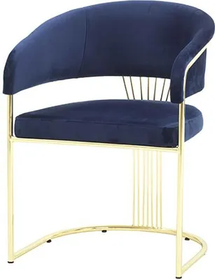 Immagine prodotto di Sala da pranzo Sedia moderna blu Poltrone di design Mobili Poltrona