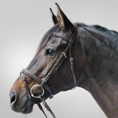 Immagine prodotto di Briglia snaffle STAR Lifestyle marrone/marrone, SH