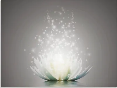 Produktbild von ARTland Glasbild Magie der Lotus-Blume - grau Größe: 60x45 cm