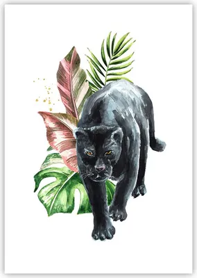 Produktbild von Poster - Poster ohne Rahmen - Schwarz Panther Blätter - 70x100 cm - Wand Bild - Wanddeko - Wandbilder - Kunstposter - Wandposter - Bilder - Kunstdruck - Wanddekoration - Wandbild - P2XPA70x100-4813
