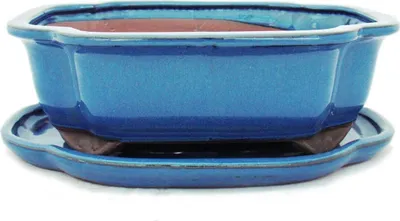 Image de bol bonsaï avec soucoupe taille 4 - bleu - haitang/ovale - modèle i4 - l 26cm - b 20,5cm - h 8,5cm