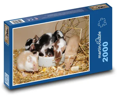 Obrázok produktu pre martinpuzzle - Puzzle 2000 - Oslava malej myšacej rodinky