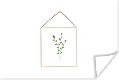 Produktbild von MuchoWow® Poster Blatt - Natürlich - Rahmen - Weiß 30x20 cm - Plakate - Print