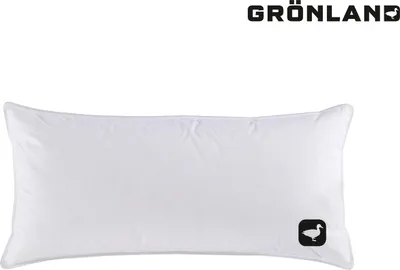 Produktbild von Häussling Grönland Gänse Kopfkissen 40x80 cm | Federn- und Daunenkissen, Kissen, Deutsche Manufaktur, auch für Allergiker geeignet, Bezug 100% Baumwolle