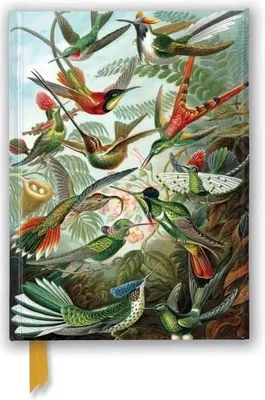 Obrázek produktu pro Ernst Haeckel: Hummingbirds (Foiled Journal)