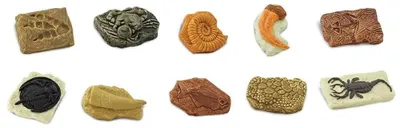 Produktbild von Safari Ltd Ancient Fossils TOOB, 3 Jahr(e), Ancient Fossils, Mehrfarbig