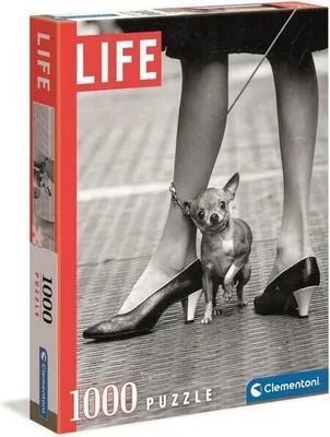 Image de Collection Puzzle 1000 Life