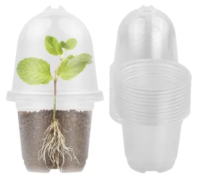 Image de Pot de semis - Pot de culture en plastique - 10 pièces - 9 cm - Transparent - Pour semis et boutures