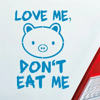Produktbild von Auto Aufkleber Love me Schwein Tier Vegetarier Vegan 12x8,5 cm Hellblau Sticker Heckscheibenaufkleber