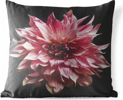 Produktbild von MuchoWow® Outdoor Kissen - Dahlie - Blumen - Rosa - 40x40 cm - Wetterfest - Lounge Kissen - Kopfkissen - Interieur - Polster mit Bild