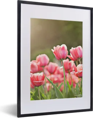 Produktbild von MuchoWow® Gerahmtes Poster Tulpen - Sonne - Frühling 30x40 cm - Poster mit Schwarzem Bilderrahmen Wandposter Rahmen Foto Bilder - Wandposter Schlafzimmer