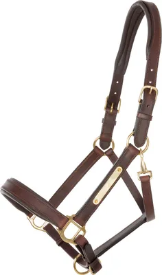 Image de Licol en cuir Soft Cinta Kavalkade