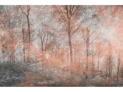 Obrázok produktu pre Fototapeta - Farebný les abstraktný 375x250cm - netkaná tapeta