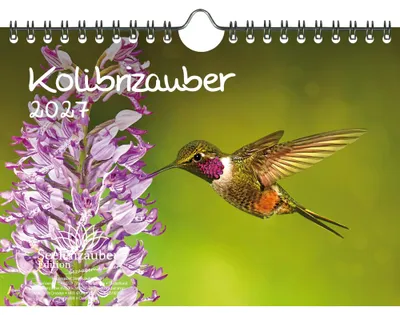 Produktbild von Kolibrizauber DIN A5 Kalender für 2027 Vogel - Seelenzauber