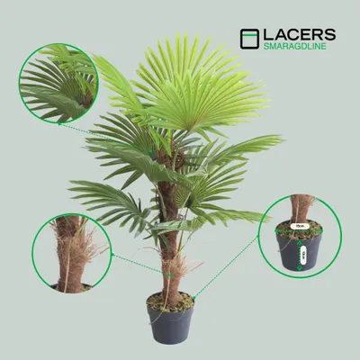 Produktbild von Lacers SMARAGDLINE künstliche Hanfpalme im Topf 90cm - dekorative Kunstpflanze - realistische Optik, langlebig für Wohnzimmer, Balkon und Büroräume