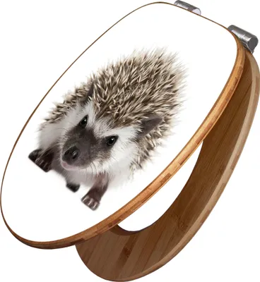 Produktbild von banjado Design WC Sitz Bambus Absenkautomatik -Igel - Toilettendeckel mit Absenkautomatik Holz/hochwertiger Bambus Klodeckel/WC-Sitz für alle gängigen Toiletten [TDB2 10202]