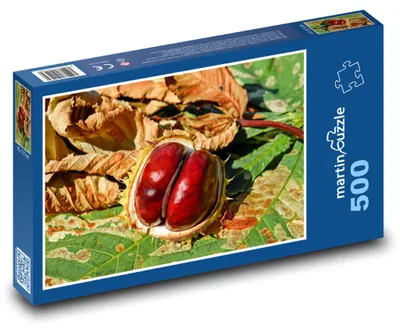 Produktbild von Puzzle 500 Herbstliche Kastanie - martinpuzzle
