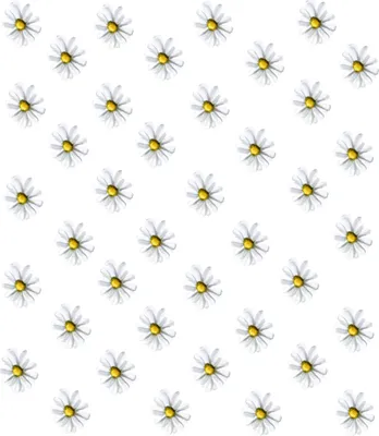 Produktbild von Dekorative Wandaufkleber, Laptop-Aufkleber, Möbelaufkleber, Gänseblümchen, weiße Blumen, Dekoration