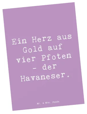 Produktbild von Mr. & Mrs. Panda Postkarte Spruch Goldherz Havaneser - Lavendeltraum - Geschenk, bildkarte, Charakter, Hunderassen Eigenschaften, einzelkarte, Grußkarte, Spiel, Pflege