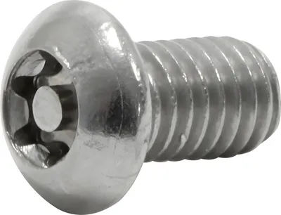 Immagine prodotto di Vite a testa piatta, Torx con perno M6x10 - DIN7380