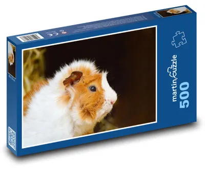 Produktbild von Puzzle 500 Süßes Meerschweinchen zu Hause - martinpuzzle