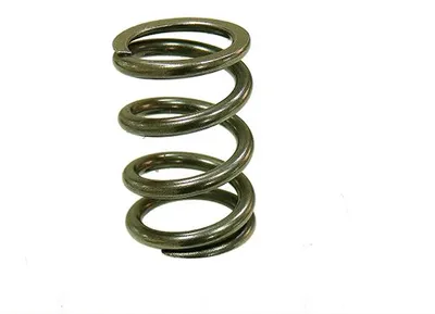 Image de ressort de soupape pour moteur de moto KTM SXF/EXCF 250, modèles 2008-2013. Ressort "Psychic"
