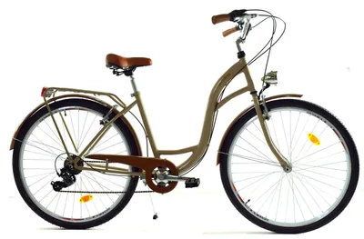 Zdjęcie produktu dla Rower Dallas City 28" 7spd - cappucino z brązem
