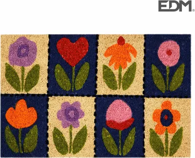 Obrázek produktu pro Rohožka EDM 74765 Barevná 60 x 40 cm