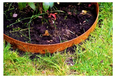 Produktbild von Rasenkanten Baumring Corten Pflanzring Kreis Ø 37 cm x 12 cm Edelrost - 3 Stück