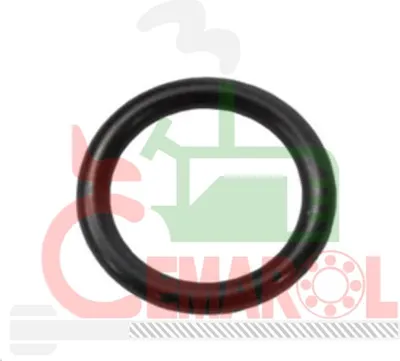 Immagine prodotto di O-ring del cambio 3036