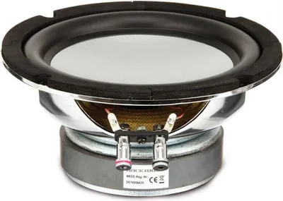 A close-up studio shot of a speaker driver.