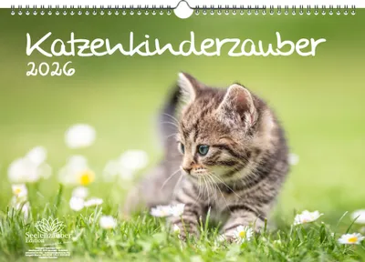 Produktbild von Katzenkinderzauber DIN A3 Kalender für 2026 Katzenkinder Katzenbabys - Seelenzauber