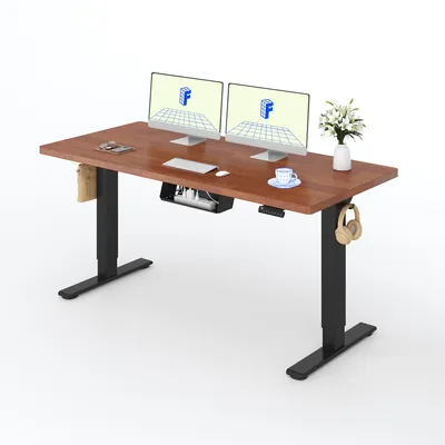 Productafbeelding van FLEXISPOT verstelbaar bureau, 160x80 cm, tafelblad van 25 mm rubberhout, 2 motoren, draagvermogen 120 kg, 4 geheugenstanden, zwart