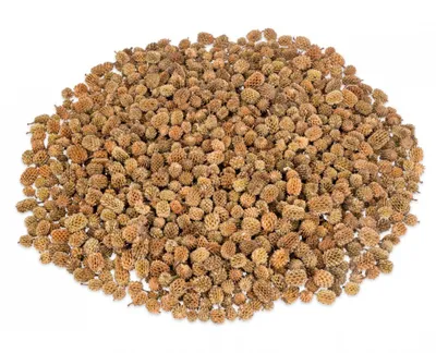 Produktbild von Kasuarinen-Zapfen natur 0,4 kg kleine Dekozapfen Aquarium Natur Naturdeko DIY