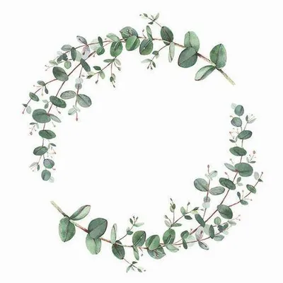 Produktbild von 20 Servietten Eucalyptus Branch white - Kranz mit Eukalyptus 33x33cm
