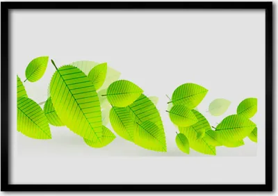 Produktbild von Bild 70x50 MDF-Rahmen Wandkunst Blätter Blumen Natur